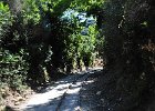 2012.06.30 Bilder rund um die Pilionbahn (18)